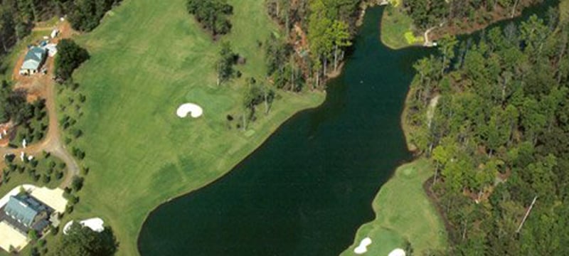 Backyard Golf Courses preview 4
